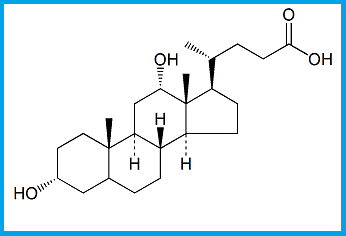 CHENODEOXYCHOLIC ACID EP IMPURITY E